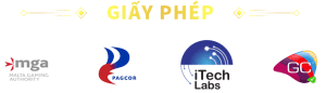 Giấy phép
