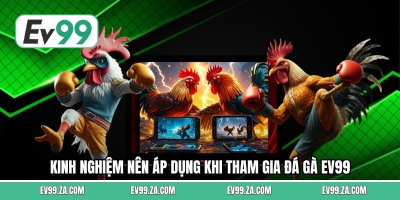 Kinh nghiệm nên áp dụng khi tham gia đá gà EV99 Kinh nghiệm nên áp dụng khi tham gia đá gà EV99
