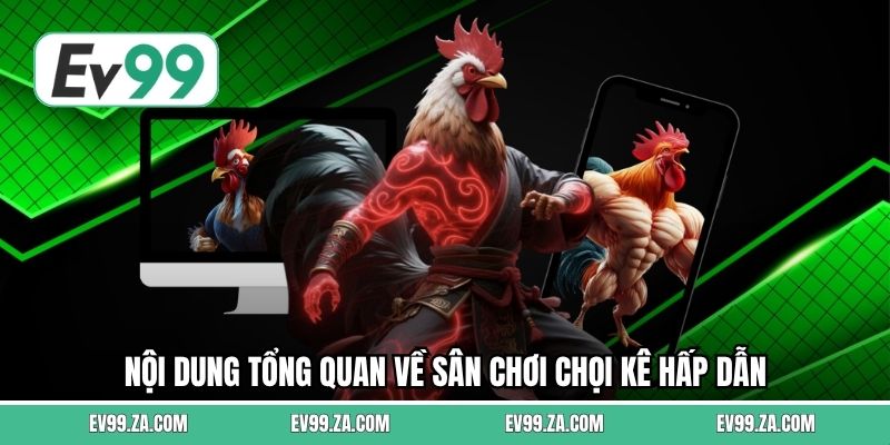 Nội dung tổng quan về sân chơi chọi kê hấp dẫn Nội dung tổng quan về sân chơi chọi kê hấp dẫn