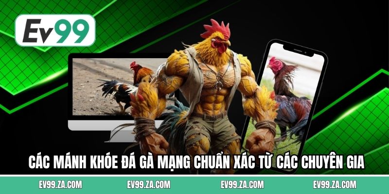 Các mánh khóe đá gà mạng chuẩn xác từ các chuyên gia Các mánh khóe đá gà mạng chuẩn xác từ các chuyên gia