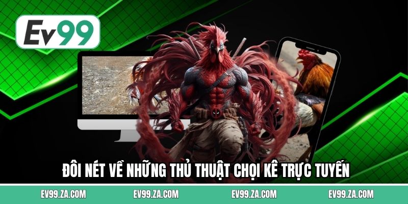 Đôi nét về những thủ thuật chọi kê trực tuyến Đôi nét về những thủ thuật chọi kê trực tuyến