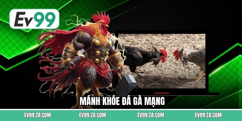 Mánh Khóe Đá Gà Mạng - Bí Quyết Cá Cược Chọi Gà Kê Tại EV99 1 Mánh Khóe Đá Gà Mạng