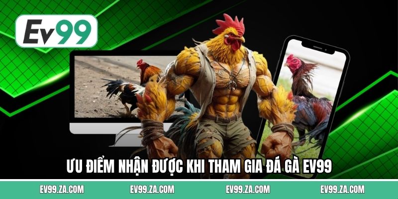 Ưu điểm nhận được khi tham gia đá gà EV99 Ưu điểm nhận được khi tham gia đá gà EV99